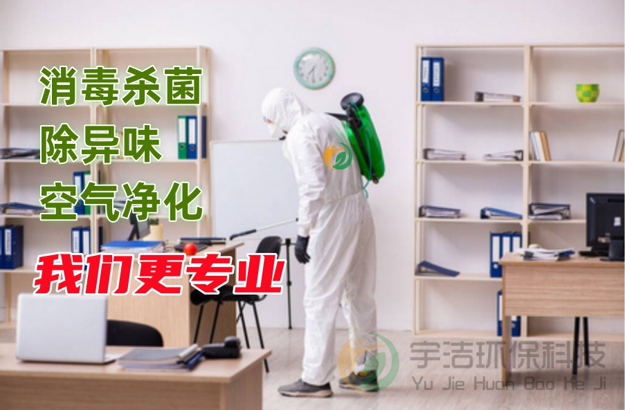 300 (1)_副本.jpg